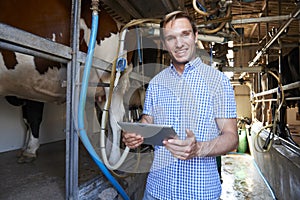 Dairy Farmer Using Digital Tablet In Milking Shed