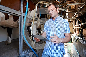 Dairy Farmer Using Digital Tablet In Milking Shed