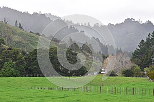 Dairy farming countryside on overcast day