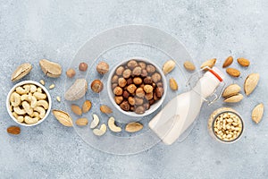 Dairy free milk substitute and ingredients. Various raw nuts