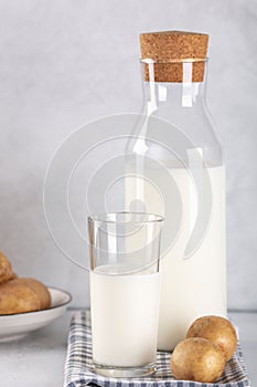 Dairy-free potato drink in glass and bottle. Alternative potato milk and potato tubers on gray table. Copy space