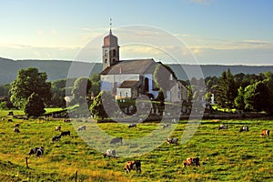 Dairy herd, Monnet la ville, Jura, France