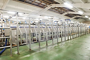 Dairy milking system farm