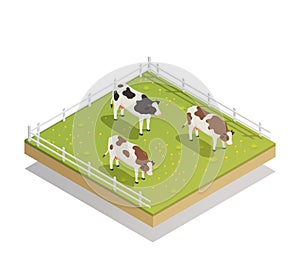 Dairy Pasture Isometric Composition