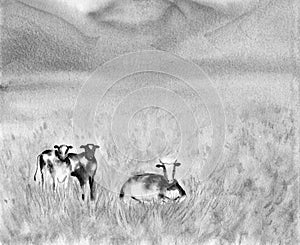 Dairy Pasturing Holstein Friesian black and white cows in a grassy field. Summer Rural scene. Alpine background. Watercolor