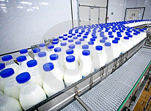 Dairy plant, conveyor with milk bottles