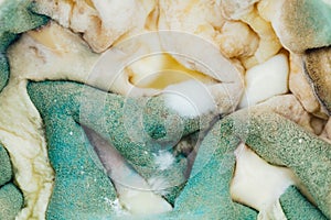 Dairy product mold background