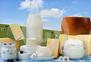 Dairy Products img