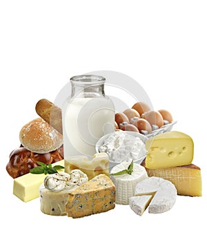 Dairy Products