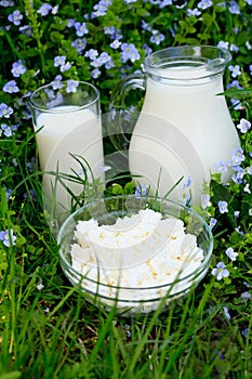 Dairy products on grass
