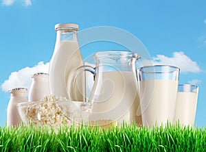 Dairy products on the grass.