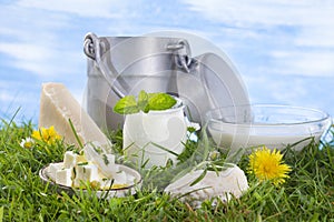 Dairy products on the grass with flowers