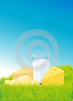 Dairy products lying on green grass - vector