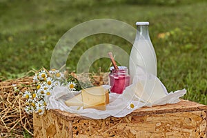 Dairy products milk, cheese yogurt served at picnic table in a cheese farm caws in background