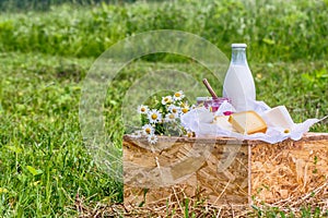 Dairy products milk, cheese yogurt served at picnic table in a cheese farm caws in background