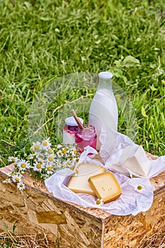 Dairy products milk, cheese yogurt served at picnic table in a cheese farm caws in background