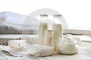 Dairy products. Milk in glass bottle, yogurt, sour milk cheese, sour cream in glass jar, camembert, brie on light wooden table