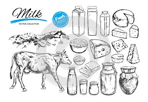 Dairy products vector collection. Cow, milk products, cheese , butter, sour cream, curd, yogurt. Farm foods. Farm landscape with c
