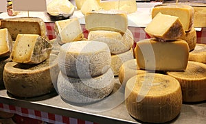 dairy that sells cheese seasonings