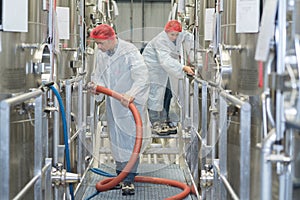 Dairy worker in milk shop