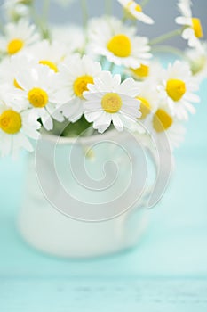 Daisies