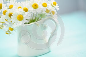 Daisies