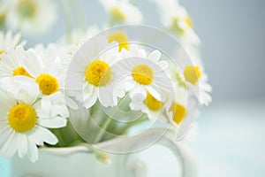 Daisies