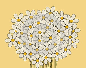 Daisies