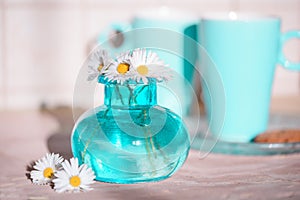 Daisies in a blue vase, chamomile
