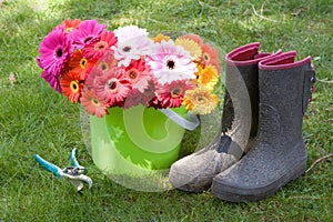 Daisies, boots, & secateurs - yard work photo