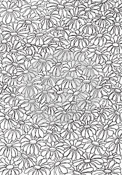 Daisies coloring page