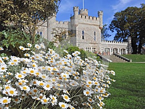 daisies daisy flowers plants spring summer happy gardens castle manor house stately home