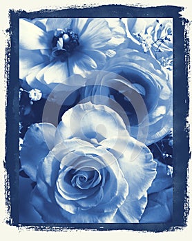 Daisies in delft's Blue