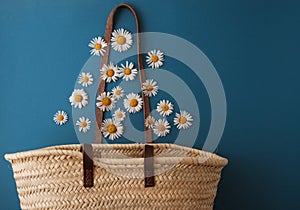 daisies fall into a straw bag