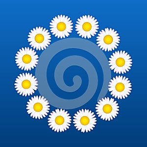 Daisies Flower Coronal