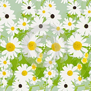 daisies on grass pattern with daisies pattern with camomiles