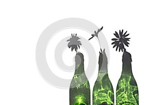 Daisies in Green Bottle photo