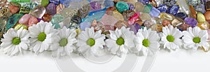 Daisies and Healing Crystals Banner