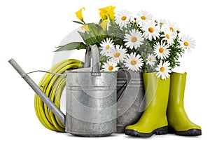 Daisies plant in vintage bucket, watering can, hose and rubber boots. Spring time, garden flowers and gardening equipment or