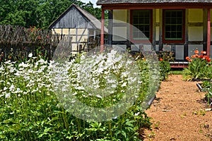 Daisies and Poppies, Square Foot Garden, German House and Barn