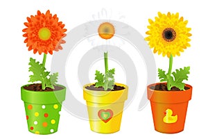 Daisies In Pots With Pictures