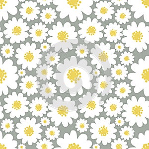 Daisies seamless pattern