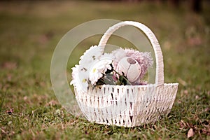 Daisies and teddy bear