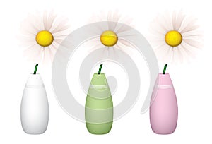 Daisies in Vases