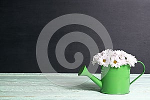 Daisies in a watering can on a black background