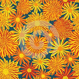 Daisy and Aster summer flowers seamless vector pattern. Bright red orange yellow flowers on blue background