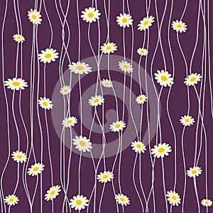 Daisy Background