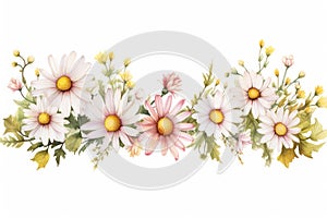 Daisy beauty background background design art plant nature blossom floral white flowers spring summer