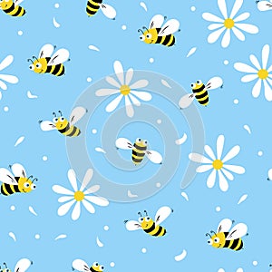 Daisy and bee seamless pattern. Flowers, petals and cartoon bees on a blue background. Vector