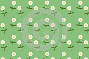 Daisy blooming pattern flat style background